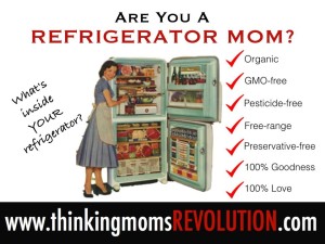 TMR Meme Refrigerator Mom
