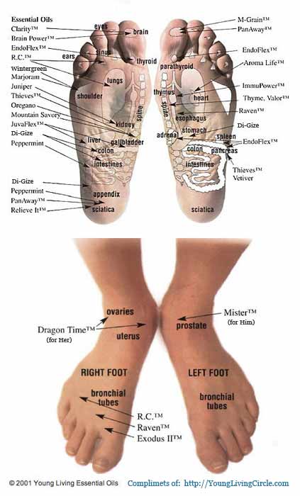 Foot Oil Chart