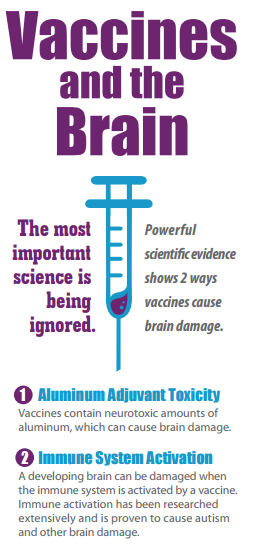 vaccines and the brain