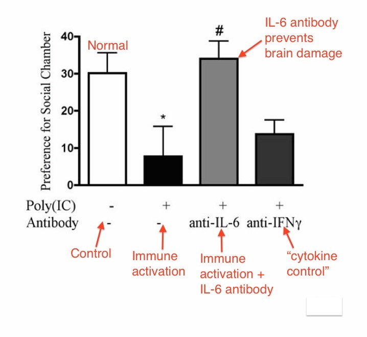 MIA IL-6 causation proof copy