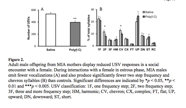 MIA vocalization male female encounter