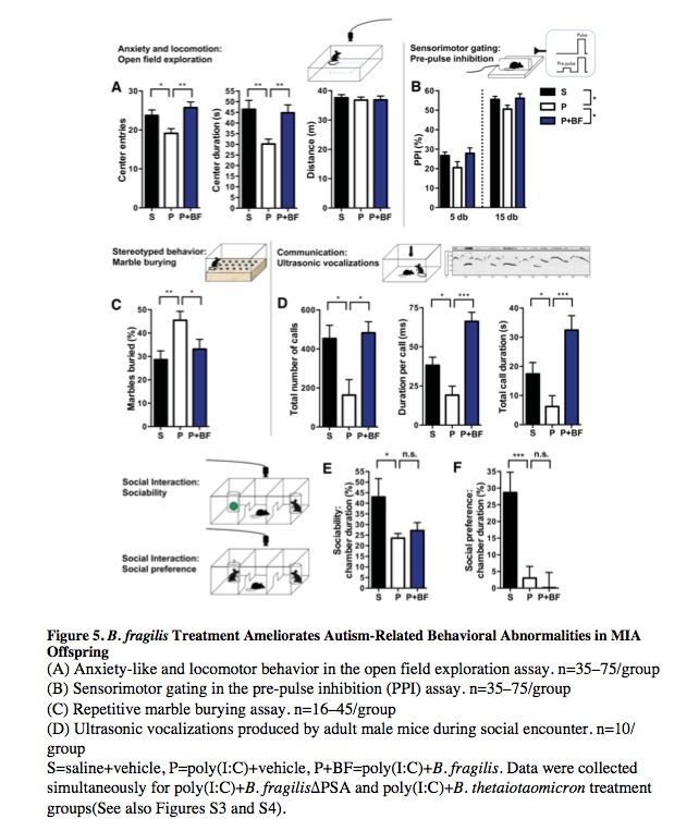 MIA-dysbiosis-BF-treatment